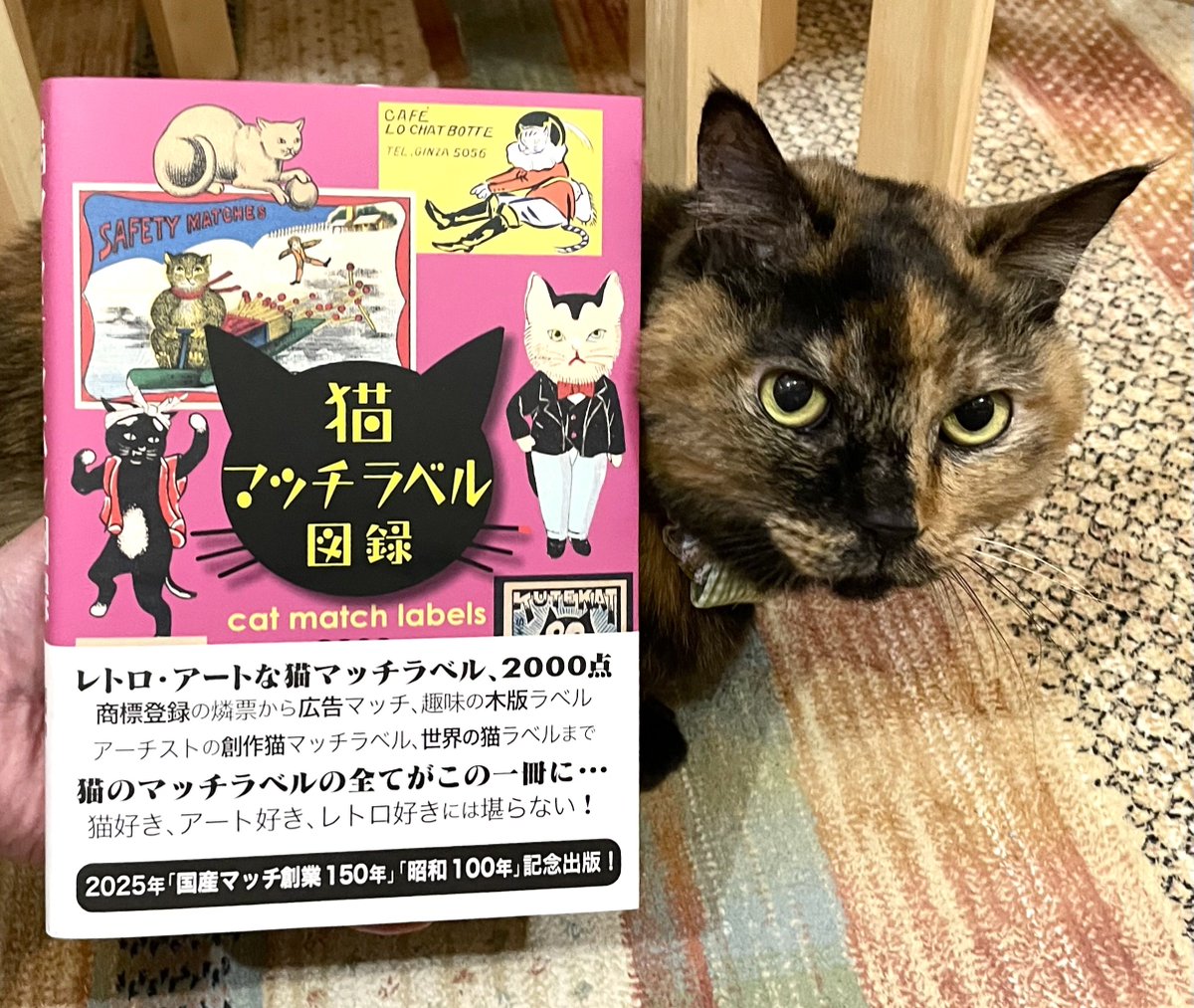 猫マッチラベル図録』は、1887年に誕生した本邦初のものから海外製に