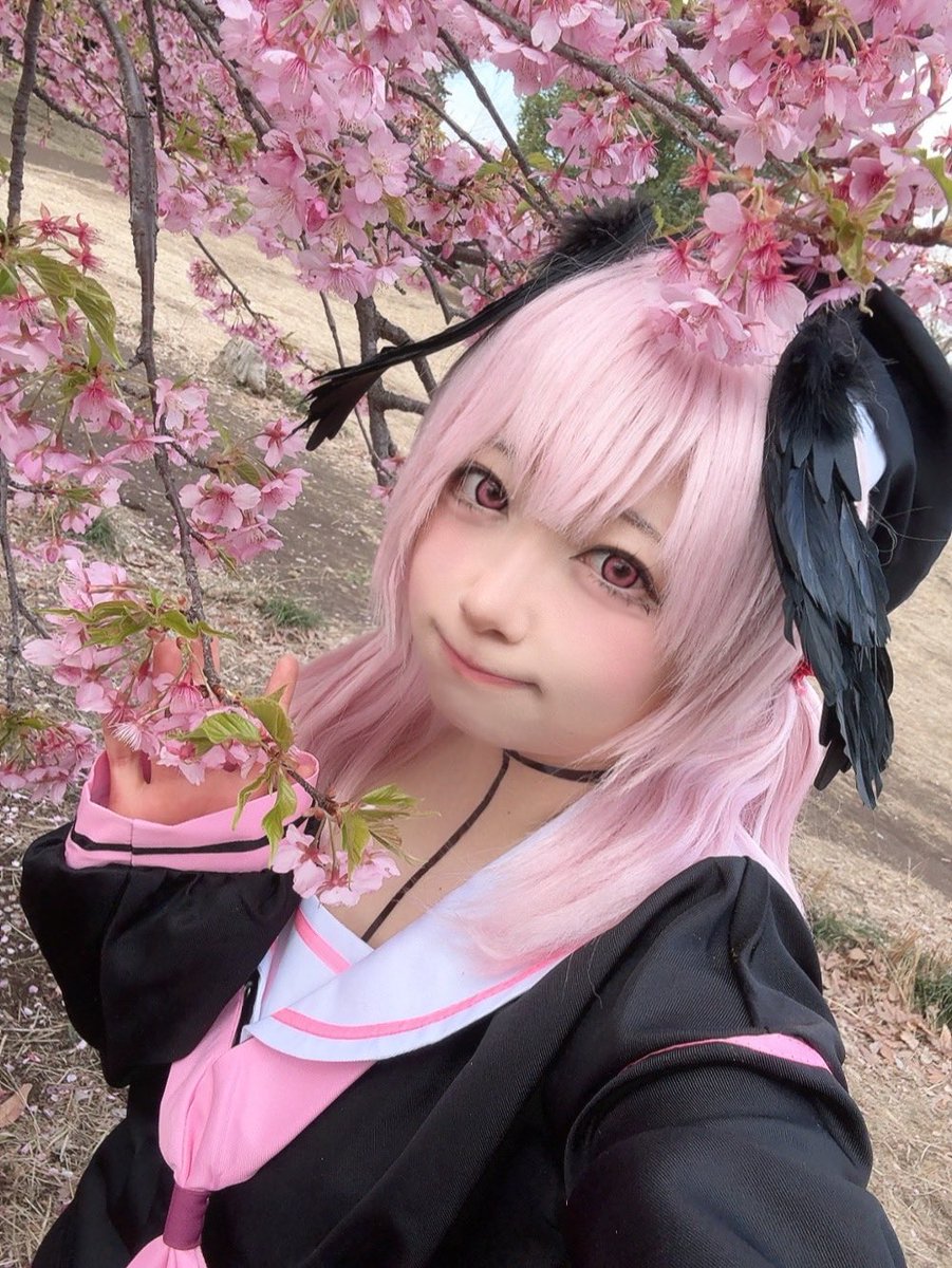 Post by ちず🧀Chizu on X: 🩷🌸🖤