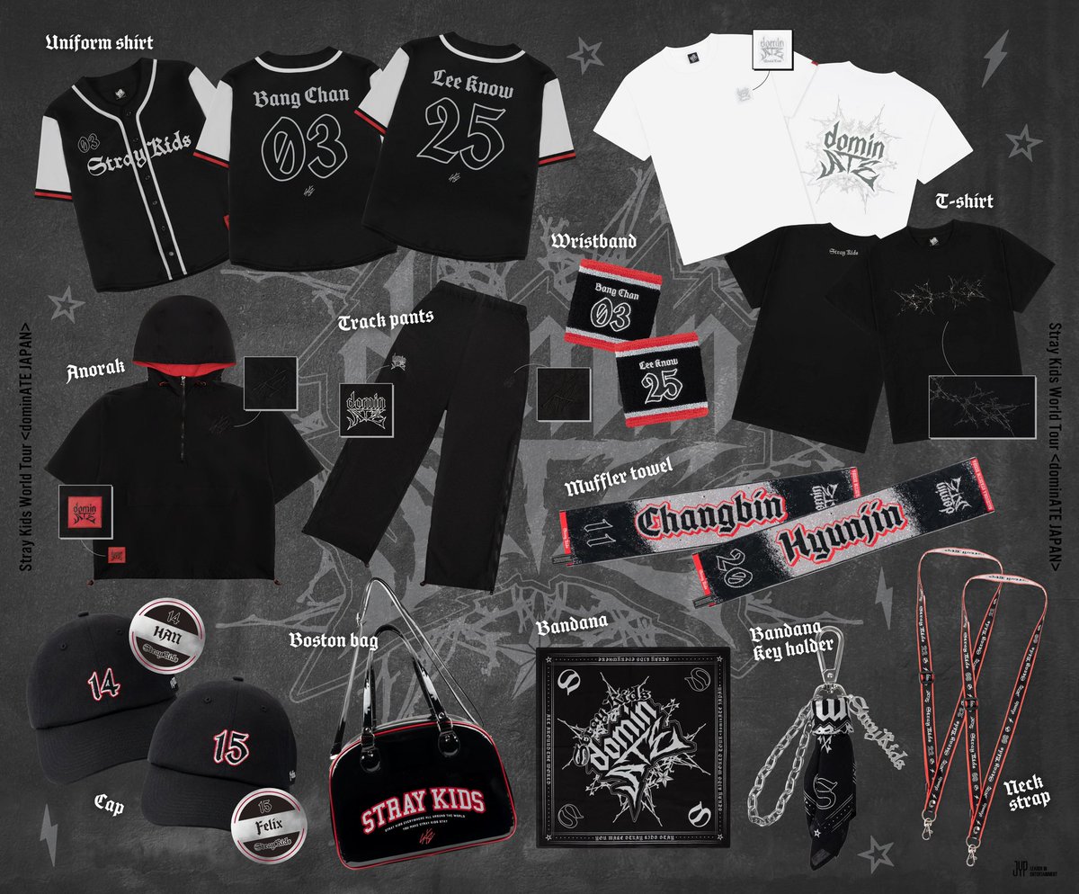 Stray Kids スキズ　エコパスタジアム　ライブフォトカード　コンプリート Stray Kids World Tour <dominATE JAPAN>」 静岡エコパスタジアム公演