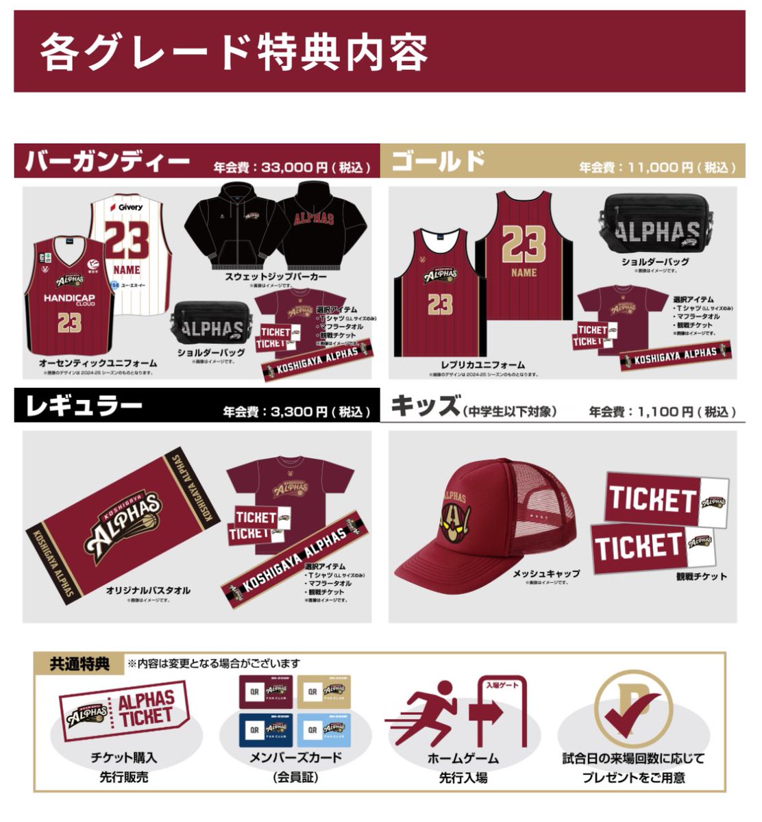 2025-26シーズン 【越谷アルファーズ ファンクラブ】 概要を公開しま