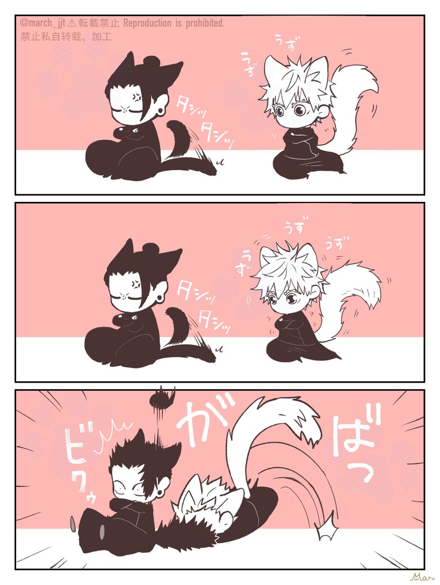 Post by ま🐾 on X: ちび猫夏五🐾