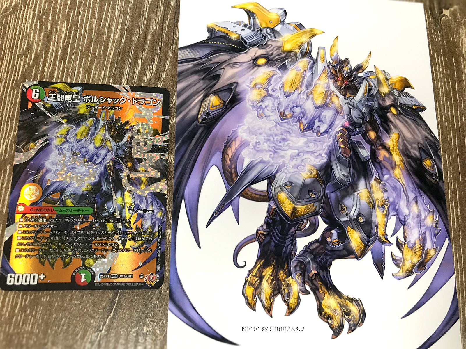 王闘竜皇 ボルシャックドラゴン ドリーム シークレットレア シク 秘