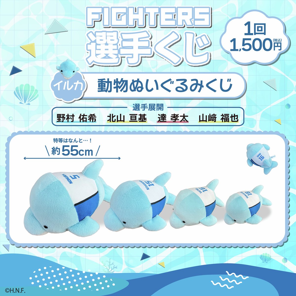 🐬イルカぬいぐるみくじ🐬 ＼ 大人気動物ぬいぐるみくじにイルカが登場