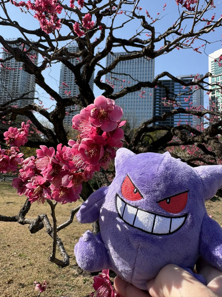 ゲンガーは今日も楽しそう