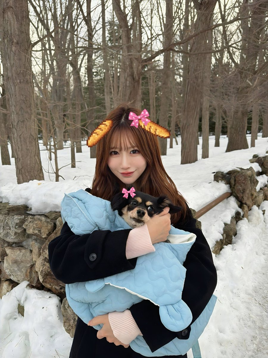 Post by みっちゃん on X: こんにちは