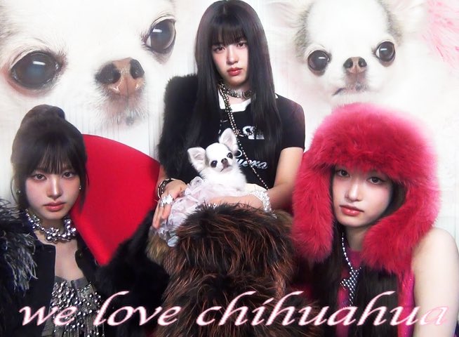 IVE❣️ファンミ2日目FC限定2期 リズ❣️韓国 IVE - JAPAN 2nd EP [ALIVE] LIMITED LIZ Ver. - Baro7 Best Kpop Store