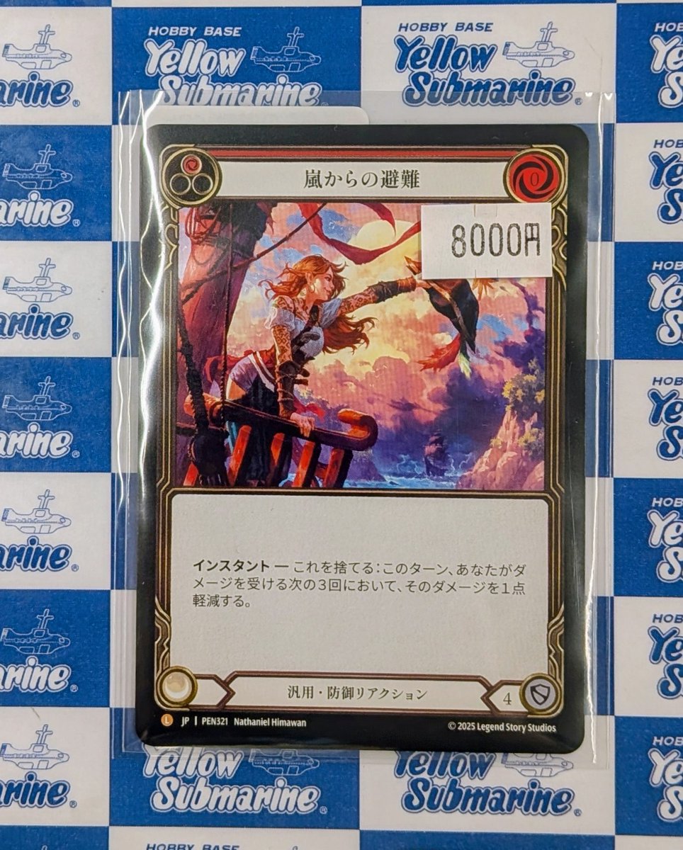 flesh&blood 嵐からの避難 日版NF Fab JP】[汎用] 嵐からの避難