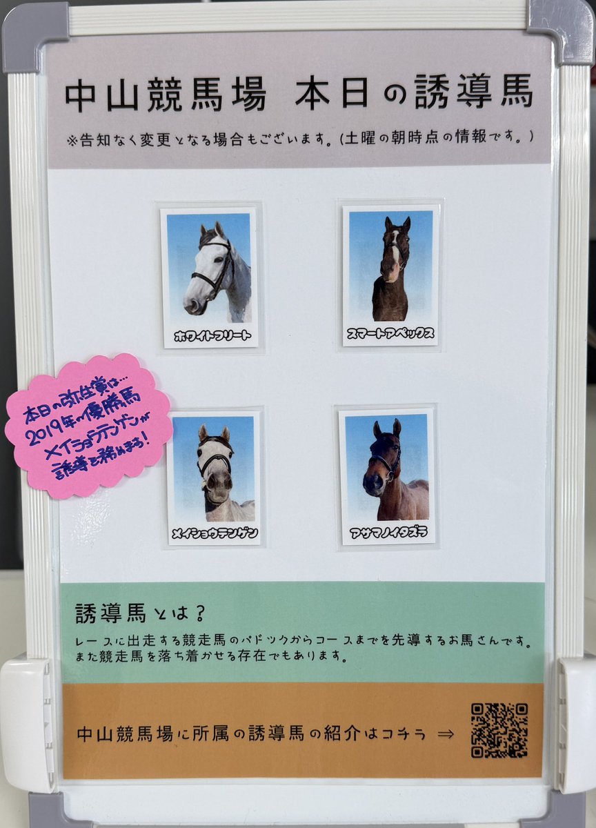 らん🐴 (@ran1026) / Posts / X