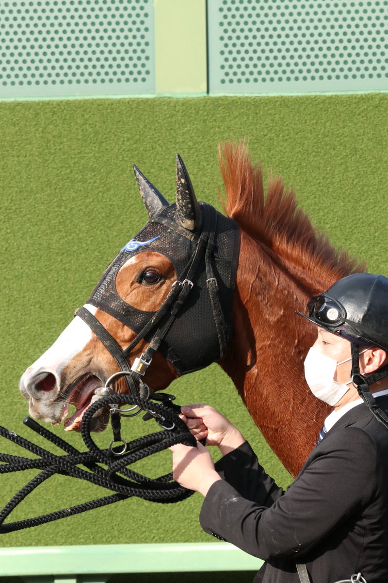 ミハ (@to_the_victory1) / Posts / X