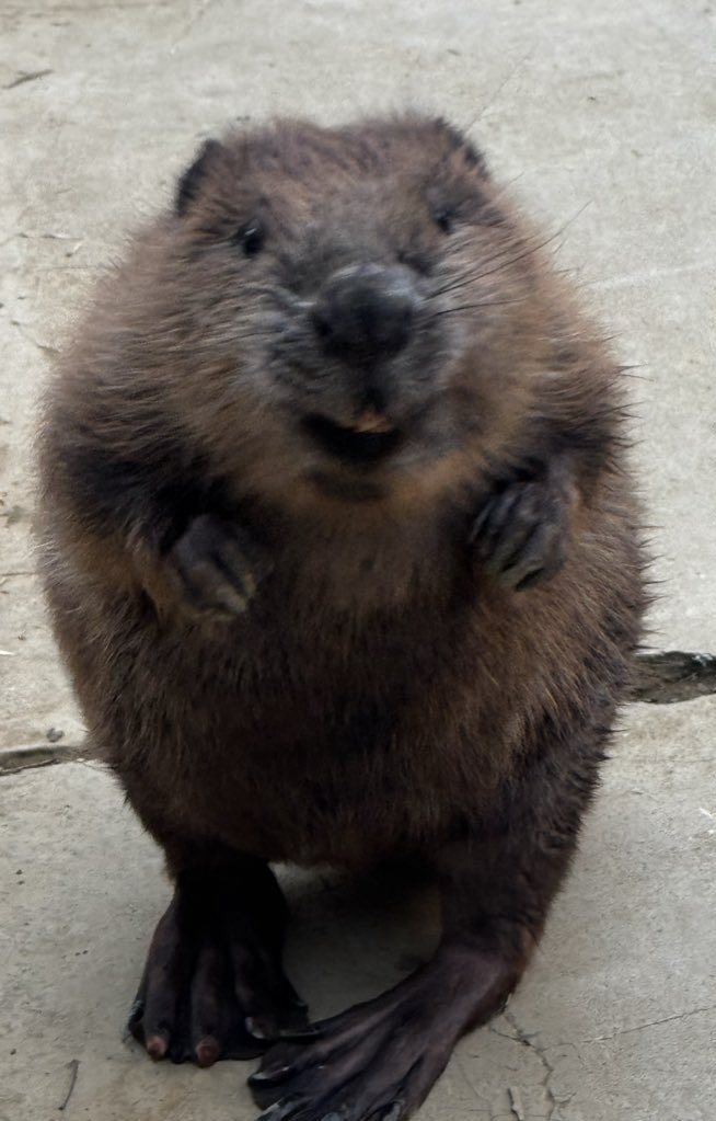 bibami(ビバ美) (@bi__bami) / Posts / X