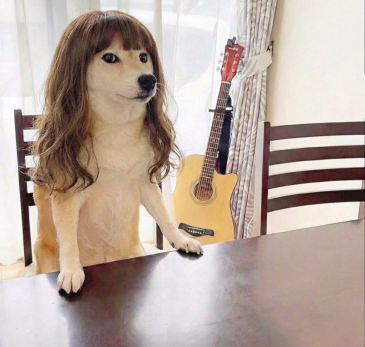 クー (@tsuba_coo) / Posts / X