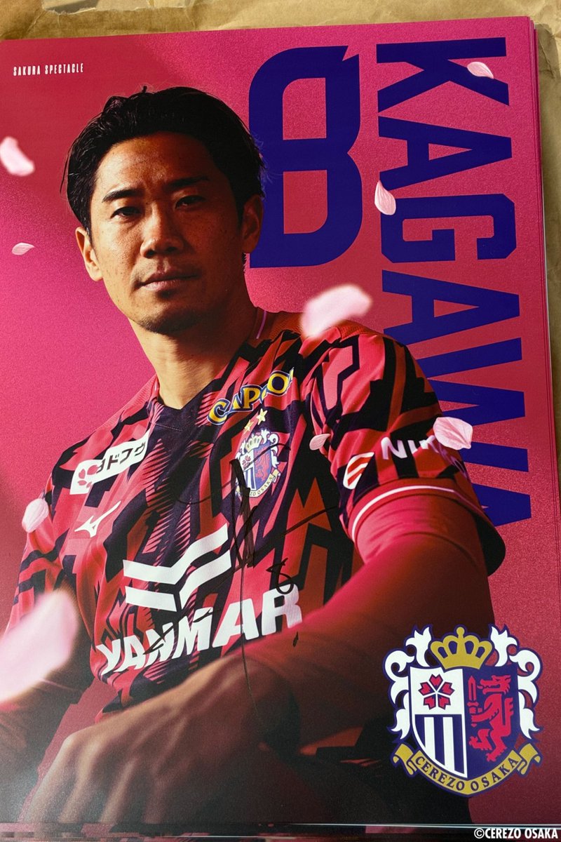 SAROS サロス ポスター 販促 告知 POP SAROSサロス販促POP - メルカリ