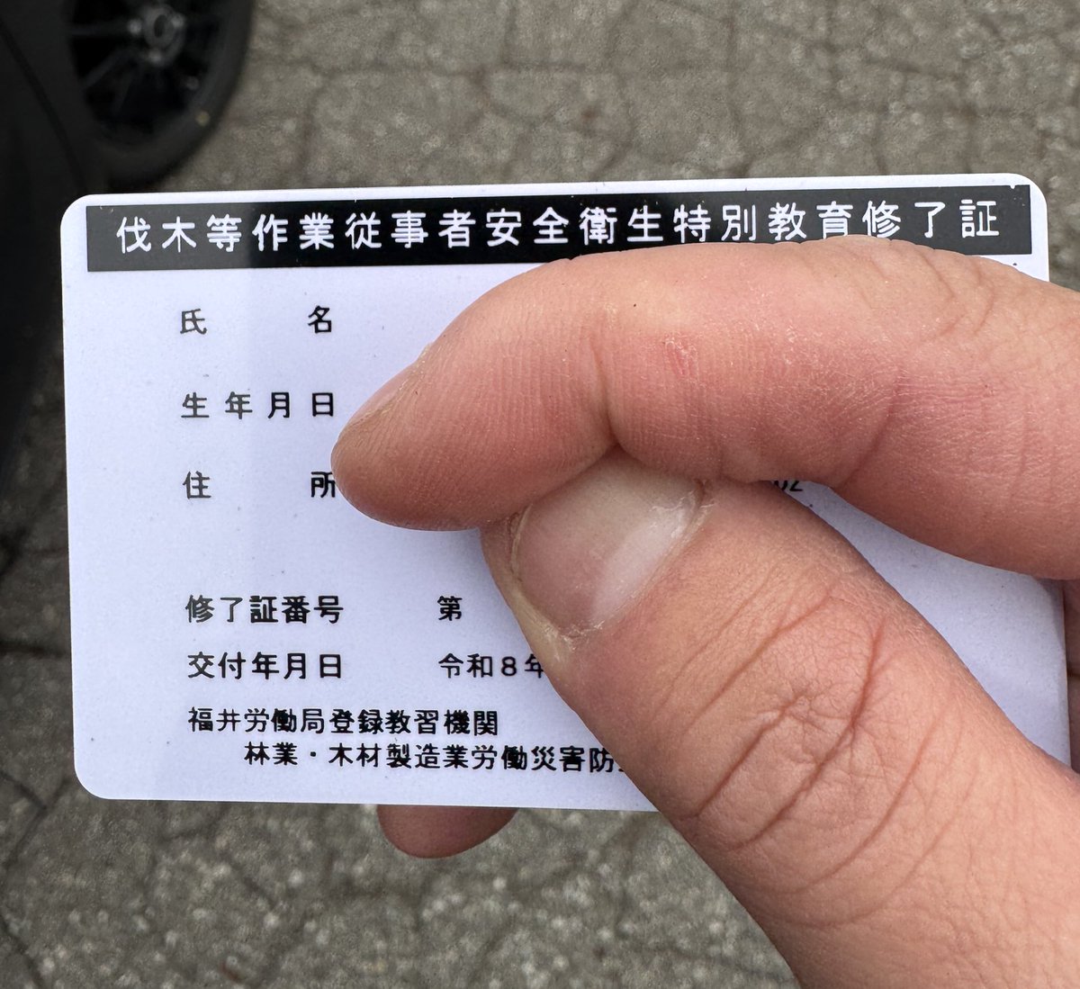 3日間のチェンソー講習、終了。