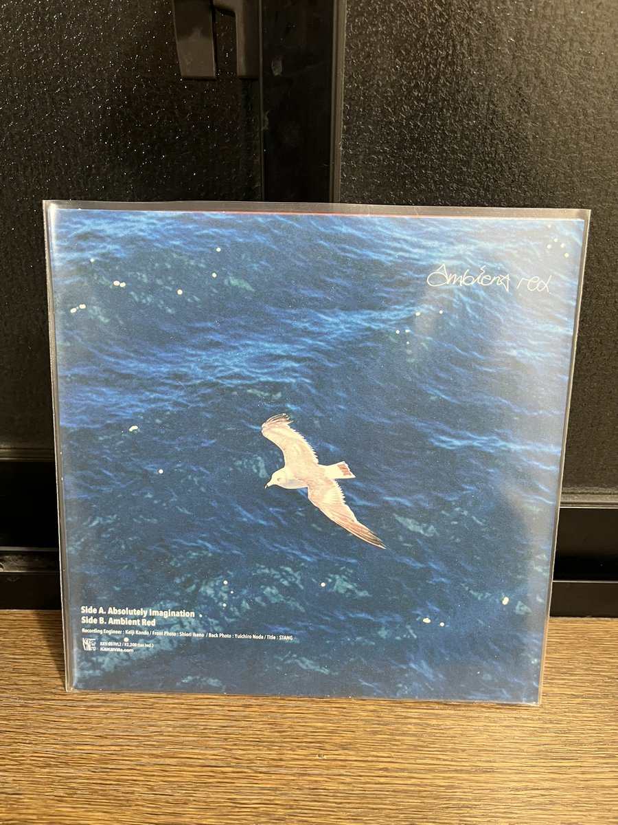 GEZAN - Absolutely Imagination GEZAN - Ambient Red の7インチ