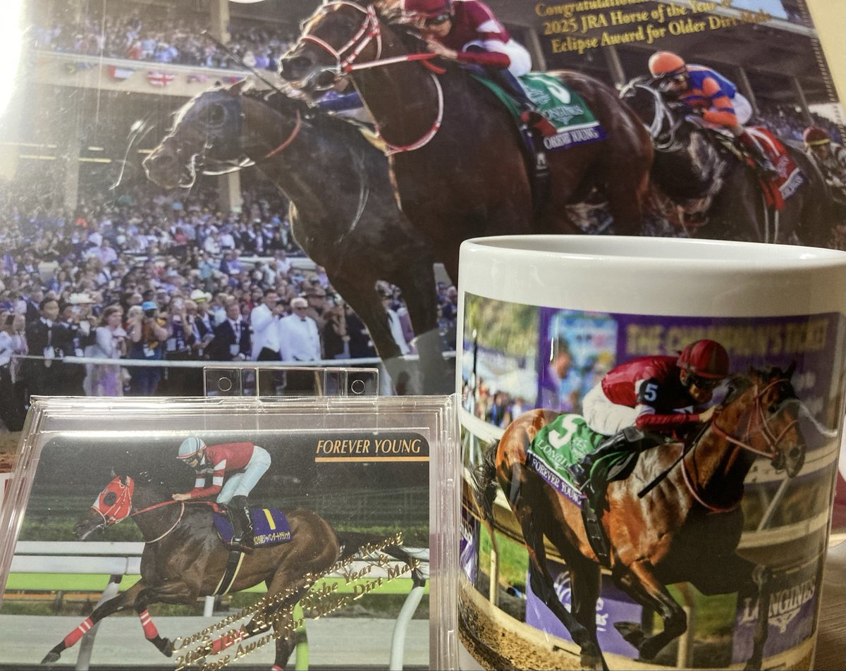 初めての年度代表馬カード😭 #JUMBO馬手箱 #まねき馬倶楽部