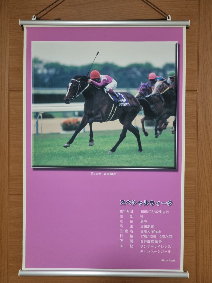 1999年天皇賞(秋)の、スペシャルウィーク号レプリカゼッケンです