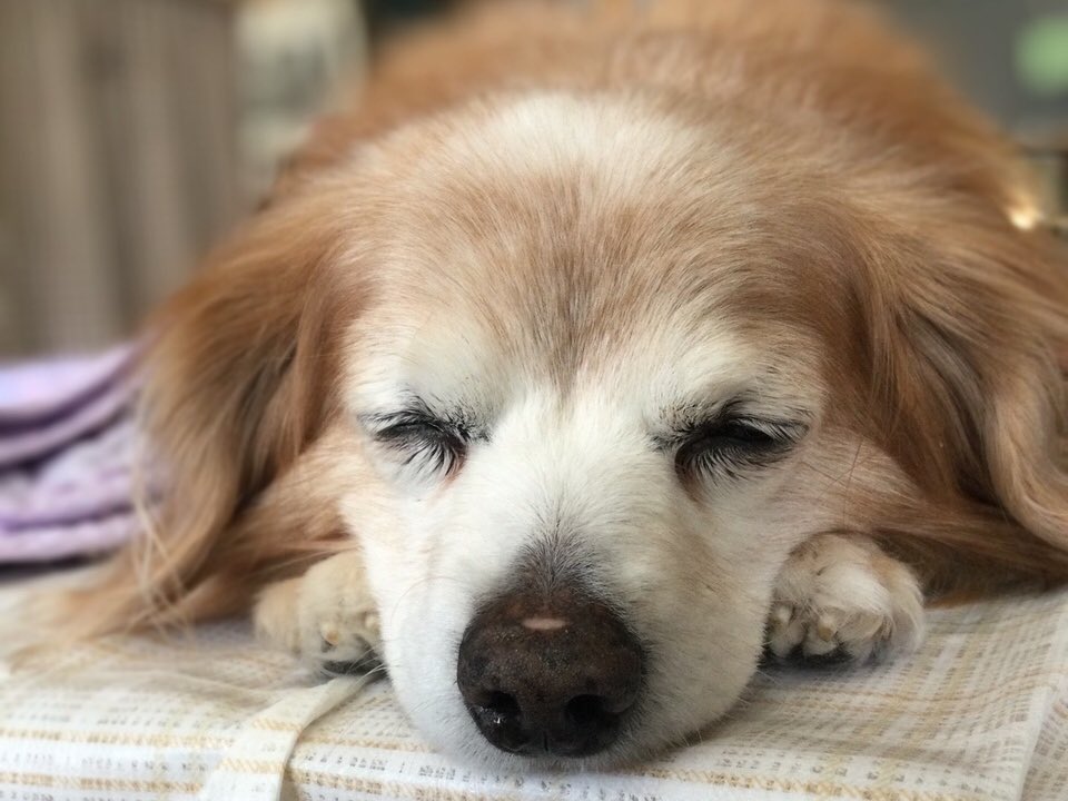 2026年3月2日 曇り☁ 今日はお休みの月曜日。 週末に出来なかった