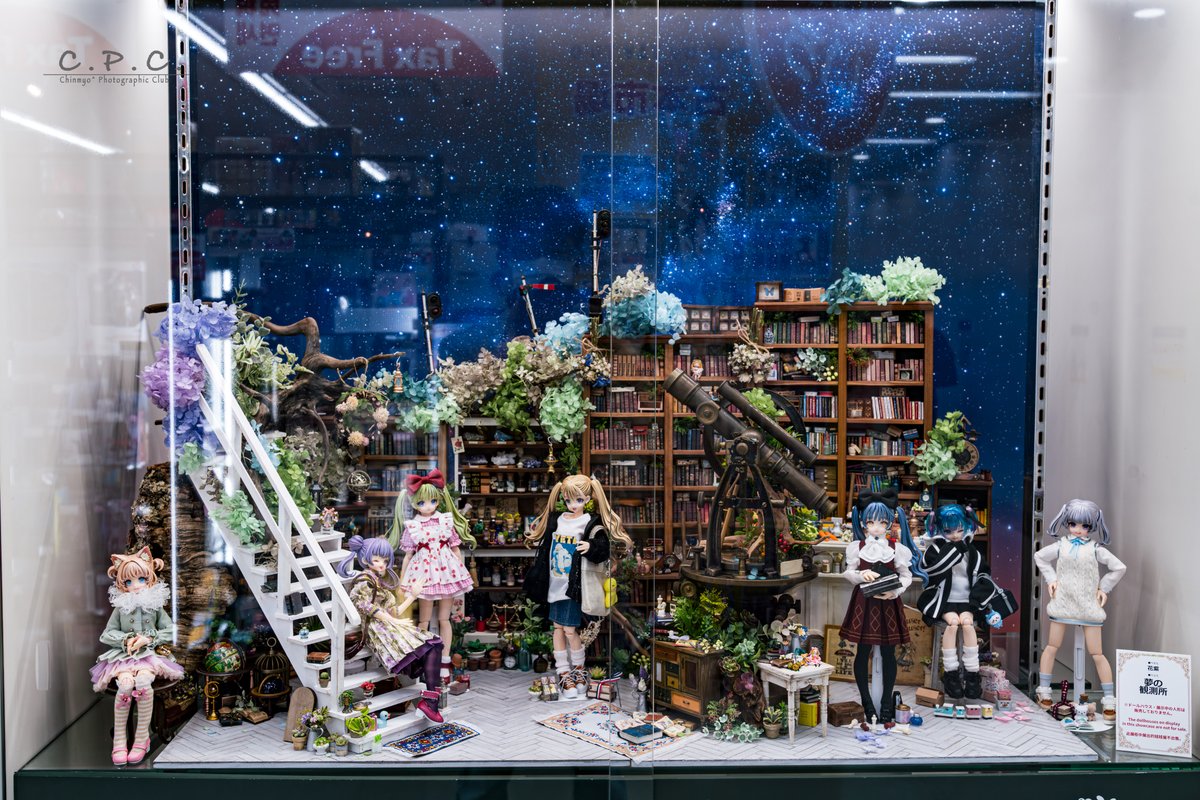 今回も！目玉の一つ！花紫さんの手掛けるドールハウス🏠✨ 規則性の