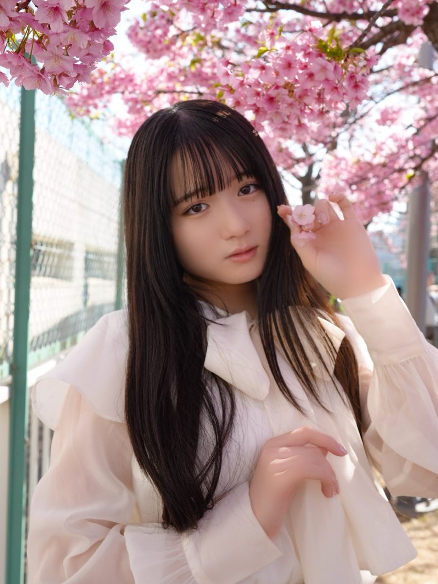 RIRIRIR2009 桜が咲く。さくさくパンダ