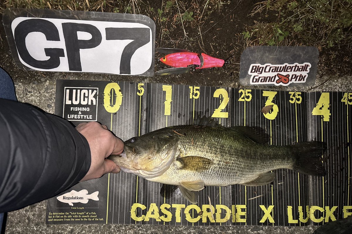 山ちゃん (@XkHQtZK8kx3fhWt) / Posts / X