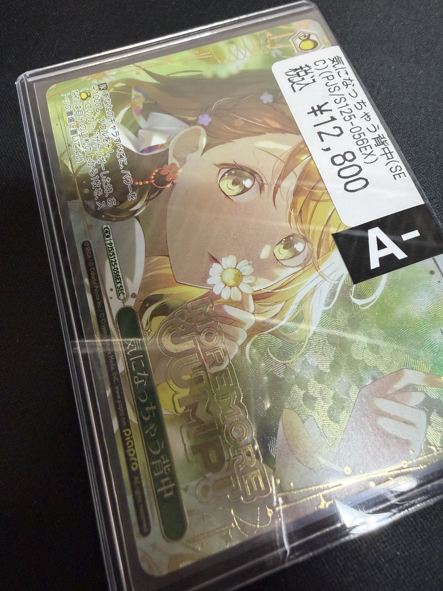 🔥🔥ヴァイス 入荷情報🔥🔥 ⭕️気になっちゃう背中（SEC）¥12800