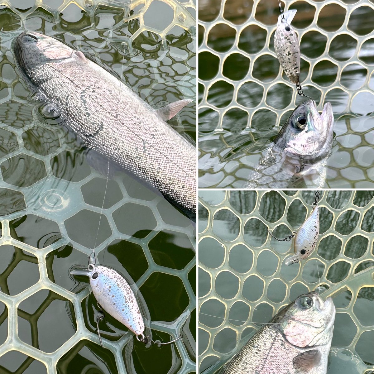 皆様〜 宜しくお願い致します🙇🙇🙇