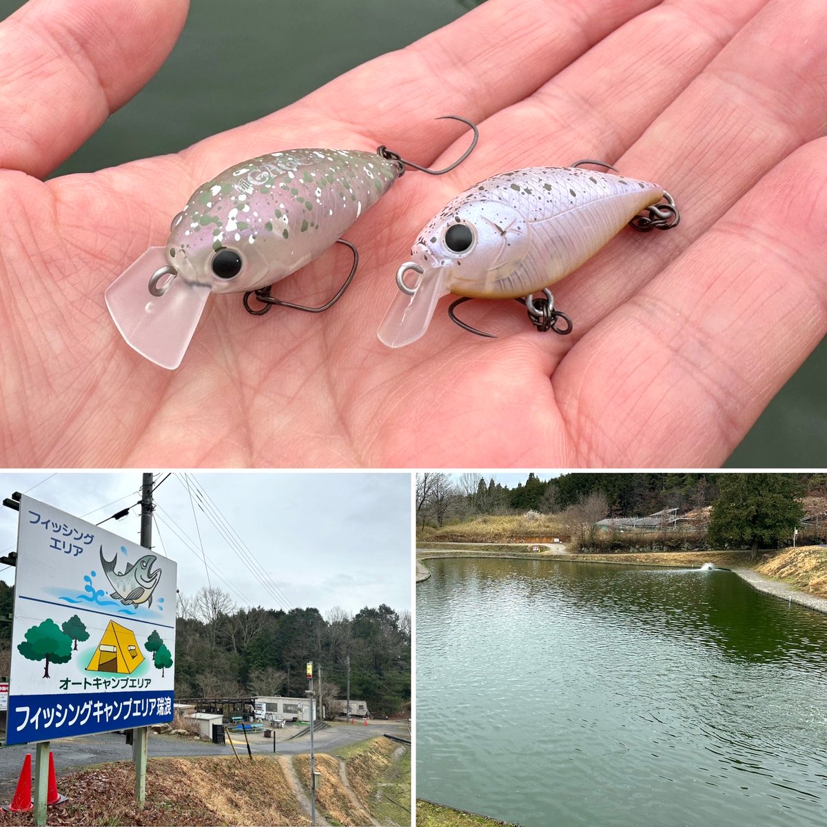 皆様〜 宜しくお願い致します🙇🙇🙇