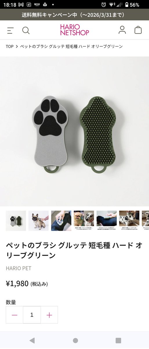 このブラシ、これか…？