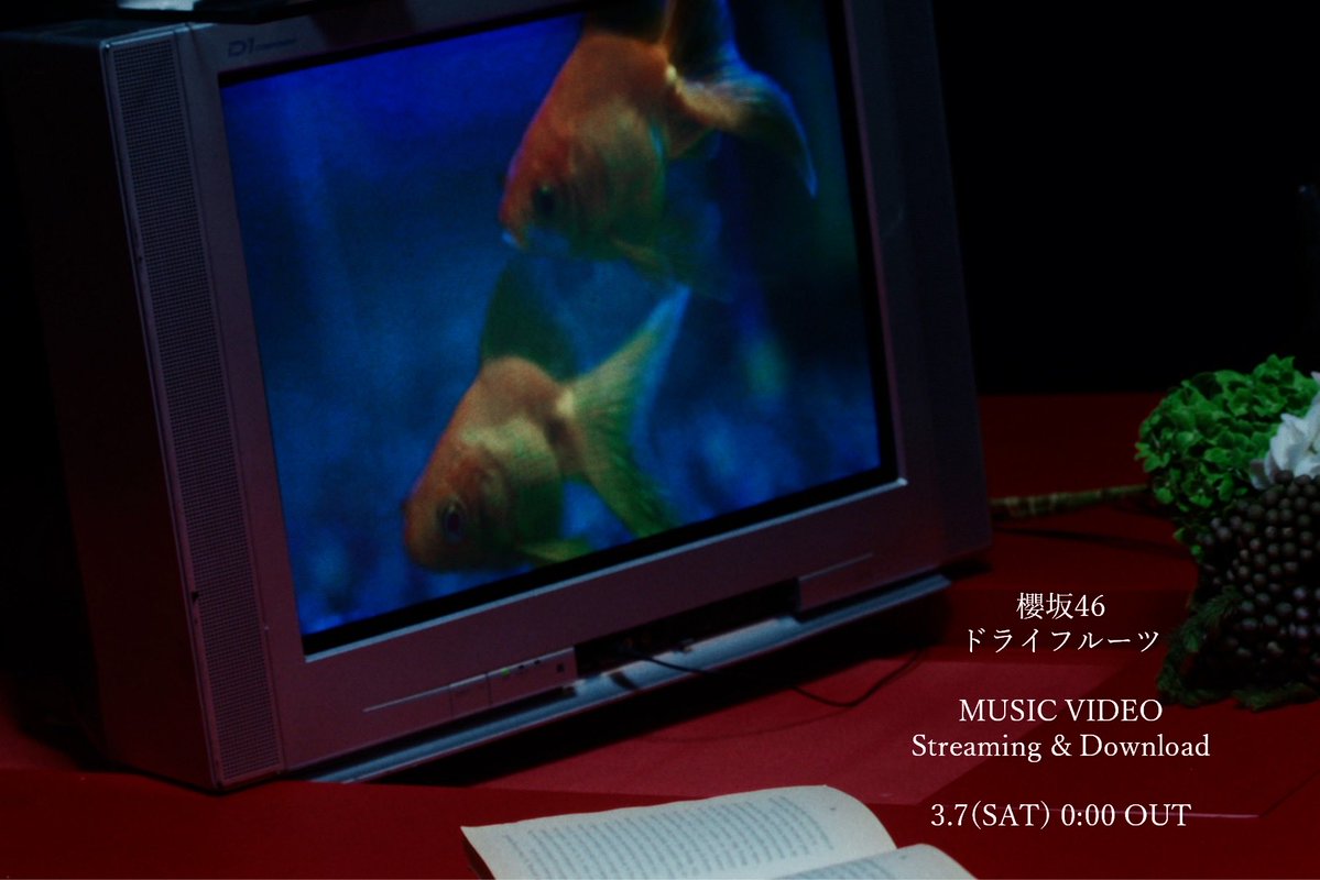 マルンマルン (@jurnaosuzu) / Posts / X