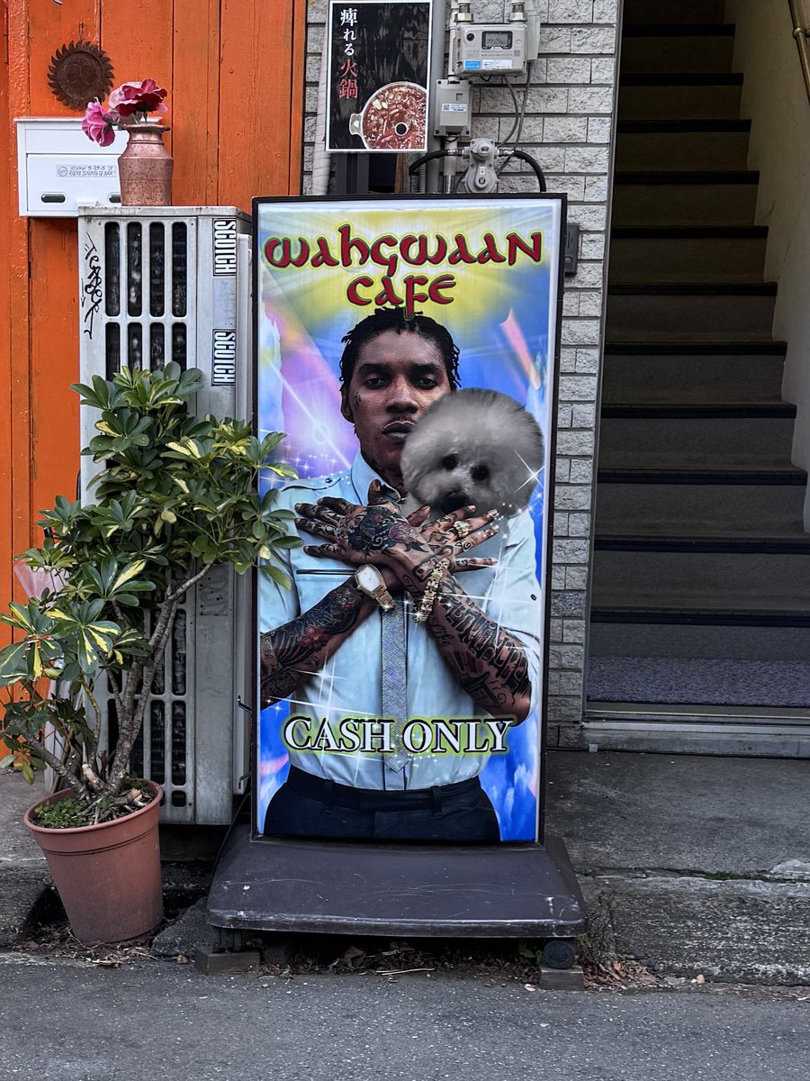 よっしー part II (@TAKRL) / Posts / X