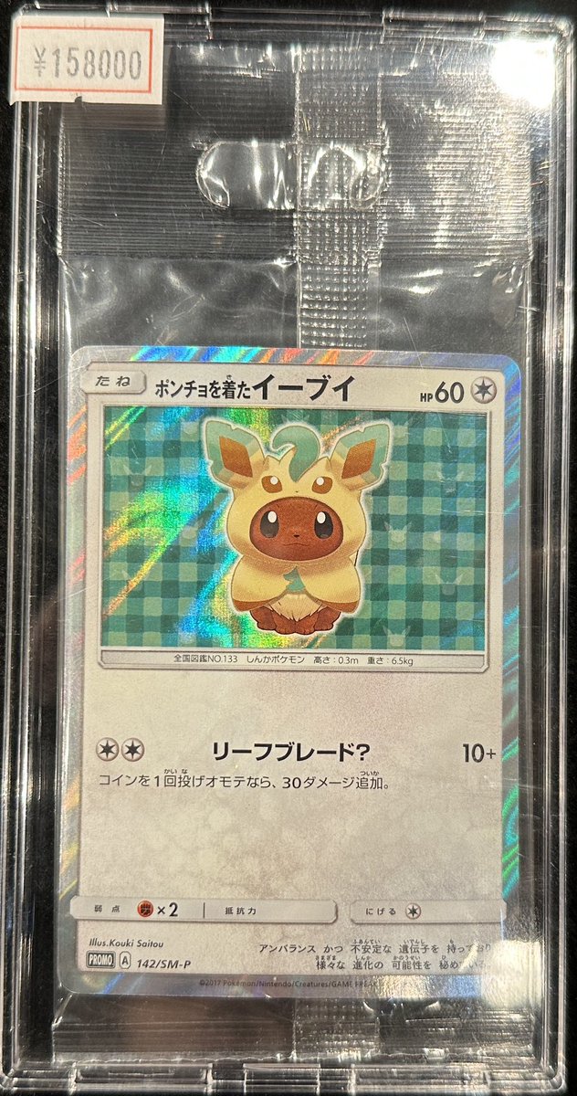 VALUABLE CARD TOKYO 2F商品紹介📢】 ／ 🍃【未開封】ポンチョを着た