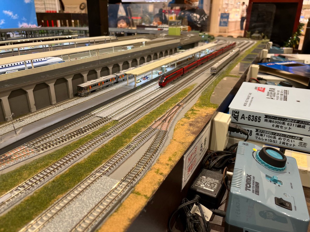 ←因みにこれを撮ったのが2022年の11月 そこから約3年3ヶ月経った姿が