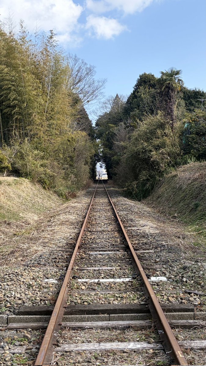 0nono (@y78891111) / Posts / X