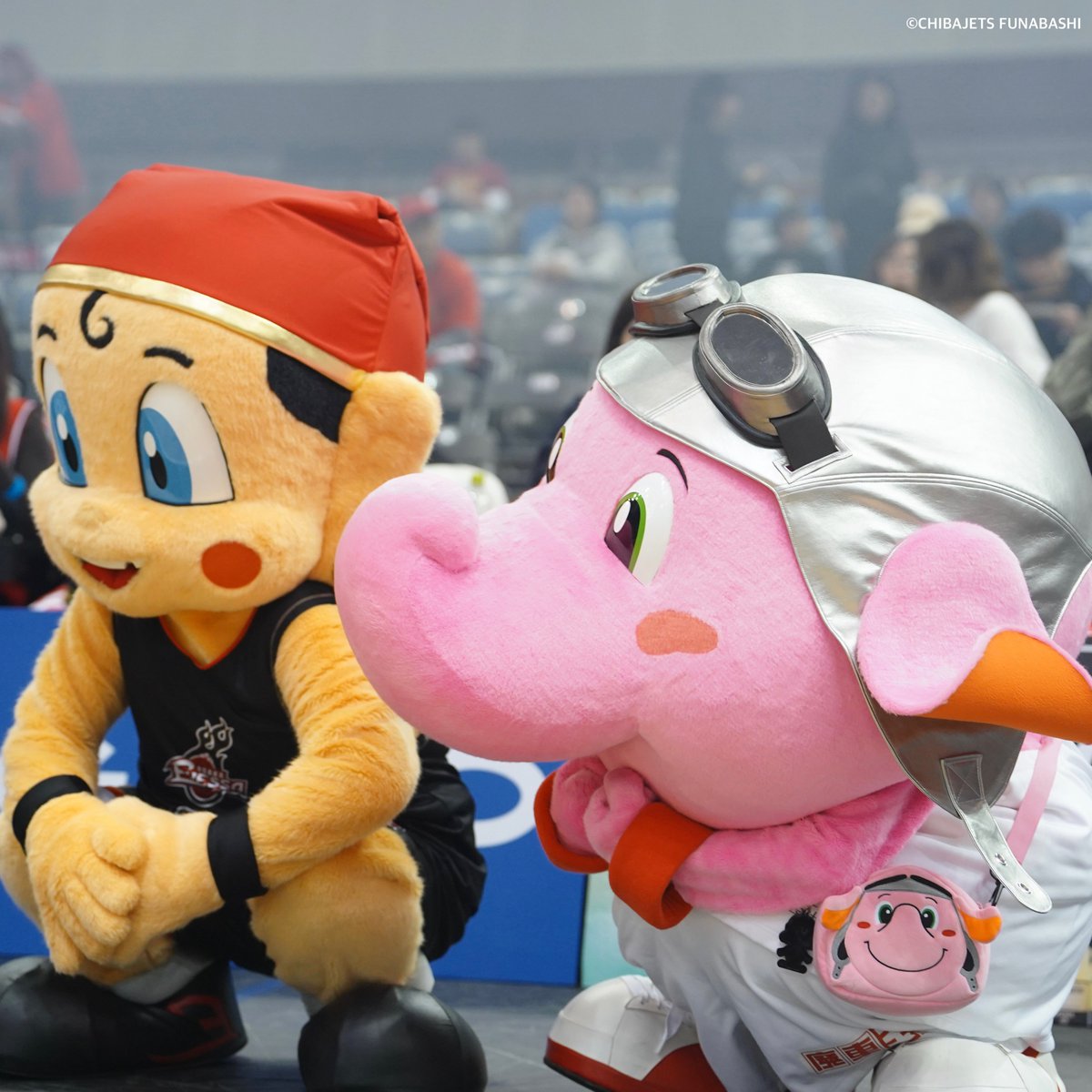 公式】ジャンボくん(千葉ジェッツ) (@Jumbokun_GOJETS) / Posts / X