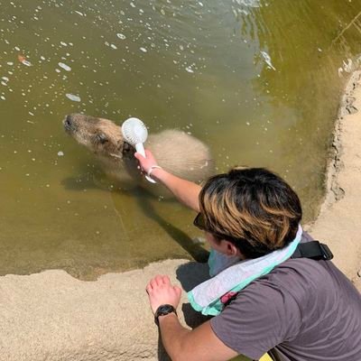 イカちゃん (@kazuking800) / Posts / X