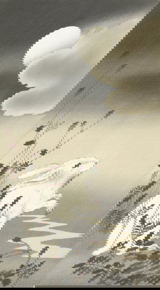 Full Moon with White Rabbit – Product — The Public Domain Review