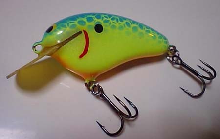 やっぱでた！ : No.04 FD-Custom baits/R.S.D.I.；Balsa Crankbait