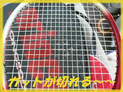 ガットが切れてます