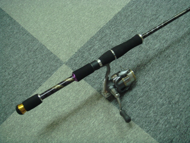 F3-610DGS アーロンマーティンスリミテッド : BASS DATE