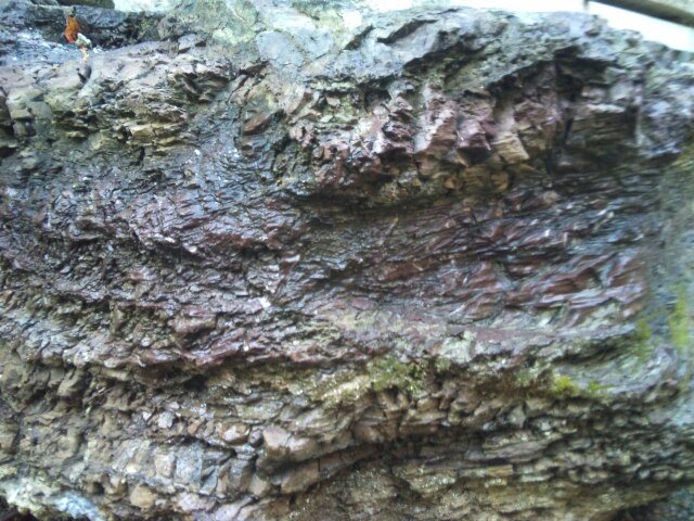 亀岡市曽我部町春日部の春日石 : 男のロマンは女の不満