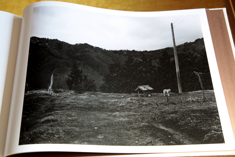 村越としや Toshiya Murakoshi 「大きな石とオオカミ」 : roshinbooks.blog