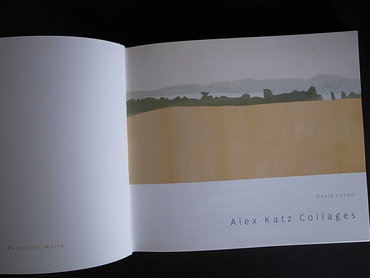 ALEX KATZ COLLAGES / David Cohen : Books & Things