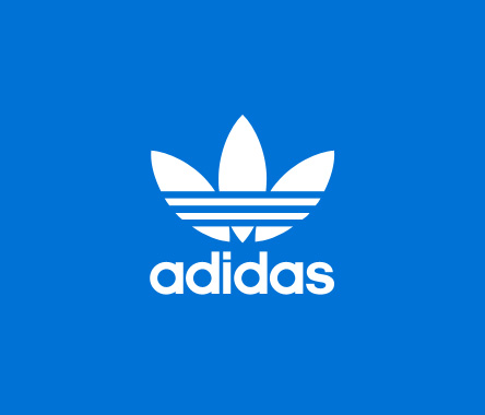 adidas Snowboarding : MOUNTAIN SNOW RESEARCH