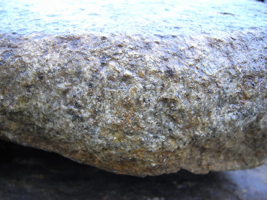 本鞍馬と本丹波鞍馬 : 男のロマンは女の不満