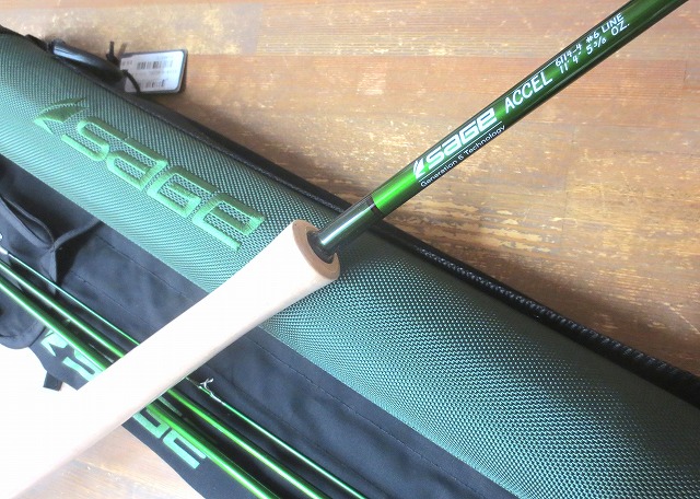 SAGE（セージ）のニューモデル入荷しました！！ : アンパラなブログ