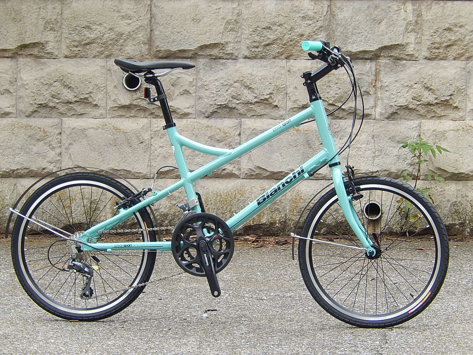 Bianchi PISA SPORT FLAT 入荷 - ミニベロ (小径車) 専門店 Flamebike