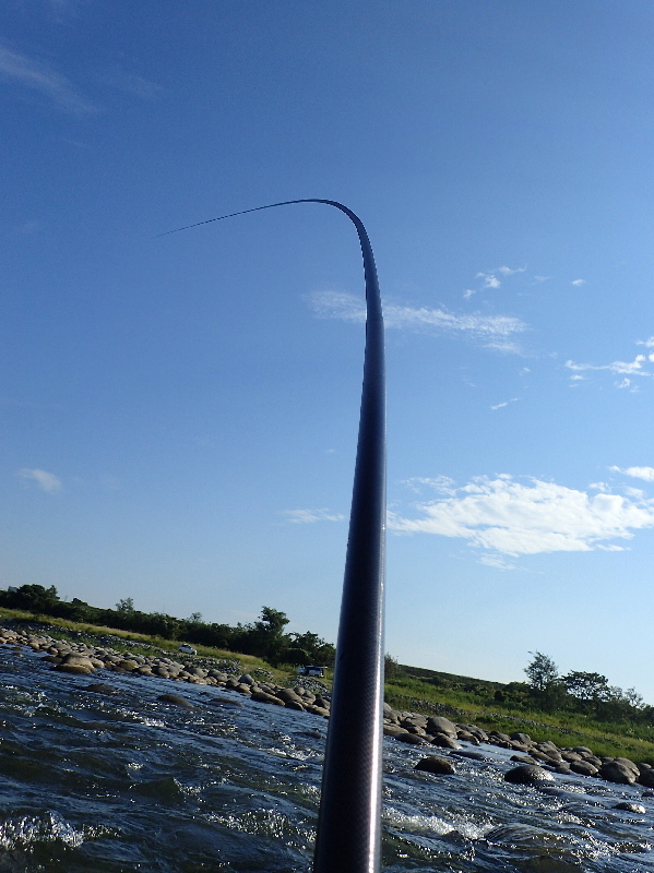 龍神竿90 急瀬Tough Power MOSA」 : STREAMSIDE