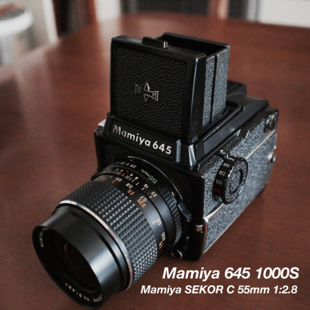 Mamiya645 vs Hasselblad 500c/f : 晴れのち、写心日和。