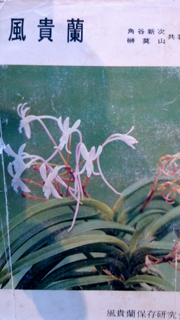 五十鈴川の解説から : □ サムライ オーキッド □ 富貴蘭 セレクト