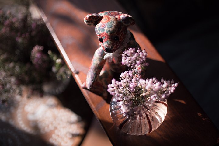 マイクロフォーサーズ25mmレンズ比較 F1.4 vs F0.95（写真部門